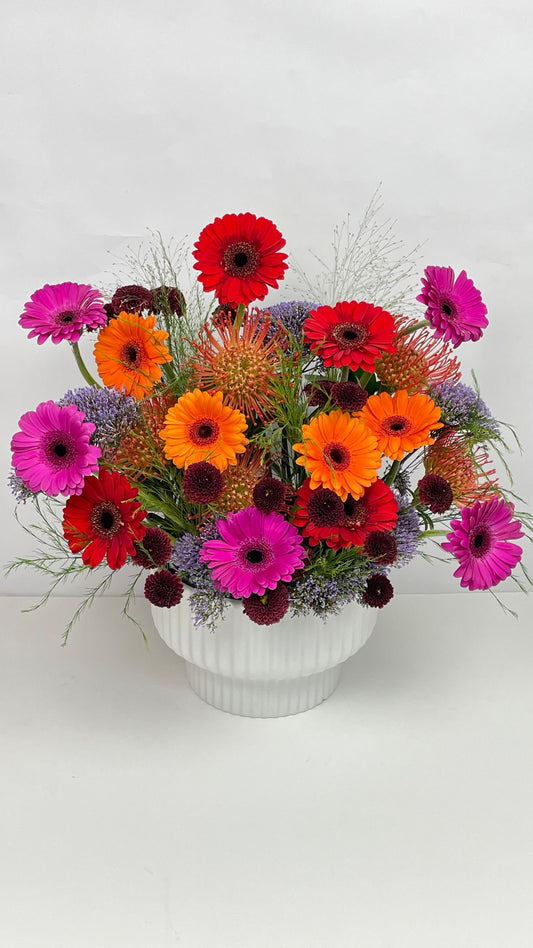 COLORFULL GERBERA