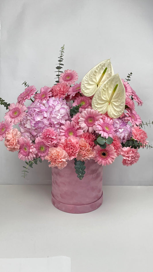 PINK HYDRENDIA MEDIUM  BOX ARRANGEMENT
