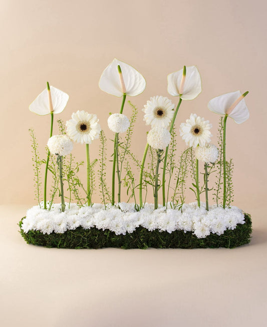 centerpiece anthurium white